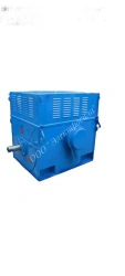 High-Power AC Motor A4-13-800/6-6 800 kW, 1000 RPM, 6000 V
