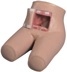 Anatomical Life-Size Enema Training Manikin NS6035 / 15