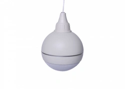 Ceiling Speech Alarm "Glagol PSh-10
