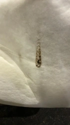 Fire-Resistant Non-Woven Fabrics from Chemical Fibers, Thermally Bonded - SHERSTON ECO FR (SH)