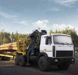 OMTL-120-02 Manipulator Equipment for Loading and Unloading