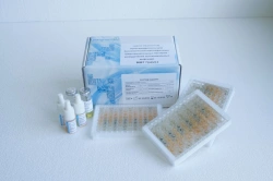 In Vitro Diagnostic Reagent Set for Biochemical Identification of Gram-Negative Bacteria