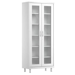 Medical Metal Cabinet for Storing Instruments, SHMSS.02.01