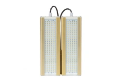 LED Module Light GOLD, K-2 Mount, 4000K, 124W