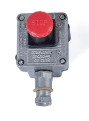 Explosion-Proof Control Station PVK-18