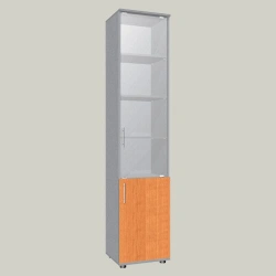 Document Cabinet with Glass Door SHS-1
