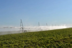 KORVET" Sprinkler Machine Model DMUM-18B-518