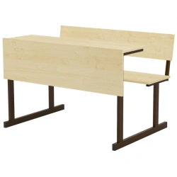 Classroom Desk for Students - Standard Model