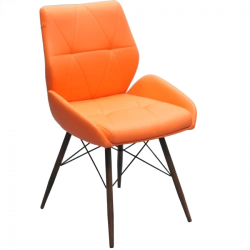 Comfortable Bonny Chair for Home and Office Use