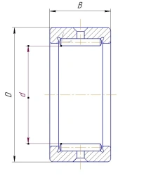 Needle Bearing 4024103-ETU 100/5