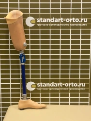 Modular Hip Prosthesis for Bathing