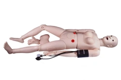 Multi-functional Medical Manikin for Wound Care and Catheterization, NS1019