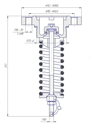 Safety Valve GT7-171225 for Liquefied Gases DN25