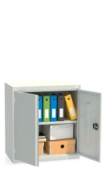 Metal Archive Cabinet SHKA/2-850(50) - Secure Storage Solution