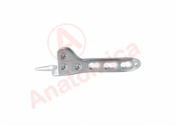Hook-shaped Plate with Angular Stability