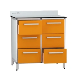 Medical Storage Cabinet, Model DM-2-109-05.K2.F2