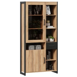 Techno LD.678010.000 Wardrobe (Golden Oak/Black)