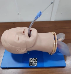 Adult Intubation Training Manikin, ROST-51