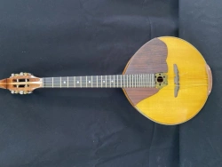 Prima II Category Domra - Resonance Pine Wood Body