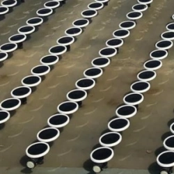 Aeration System for Biological Wastewater Treatment