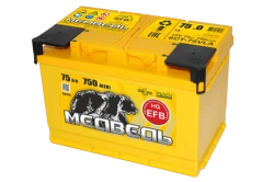 Lead Acid Starter Battery for Internal Combustion Engines 12V EFB 'Bear