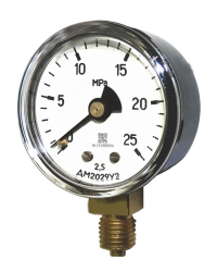 Pressure Gauges for Measuring Excess and Vacuum Pressure - DM2029