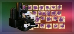 Automated Microscopy Complex with Telemedicine Function MEKOS-C2 HEMO-O M-5