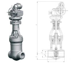 DN100/PN13.7 Gate Valve 1123-100-CZ for Thermal Power Plants