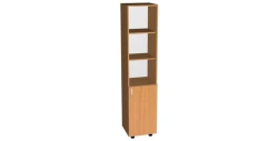 Document Storage Cabinet with Dual Shelves