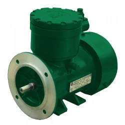 Explosion-Proof Induction Motor AIML 63 A2