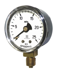 Pressure Gauges DM2029 for Measuring Non-Aggressive Liquids and Gases