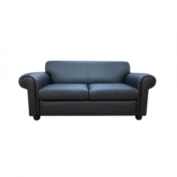 Comfortable and Elegant Becker Sofa