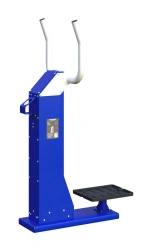 Outdoor Stationary Twister Exercise Machine Romana 207.32.05
