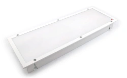 DimDALI 28W Emergency LED Marine Light CL-200CD-204589