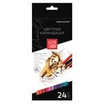 Professional Art Colored Pencils Set "Aqua-Color" IZO-CP24 - 24 Colors