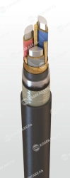 Power Cable with Aluminum Conductors and Paper Insulation, 6-10 kV, CAAShp p