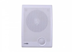 Active Wall-Mounted Voice Announcer "Glagol N2-3A