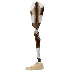 Modular Hip Prosthesis with Microprocessor Control PN6-79