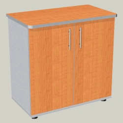 Two-Door Cabinet Model TD-3