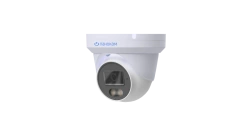 Dome Surveillance Camera Panokam-180 PNC-G24A0C-S-L(3.6)