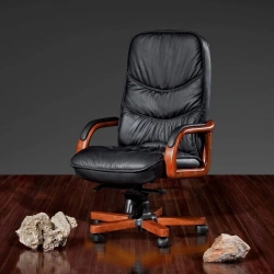 Comfortable Lotrek DB-015 Chair for Home and Office