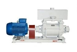 Water Ring Vacuum Pump 2ВВН-6М(Н) for Hazardous Industries