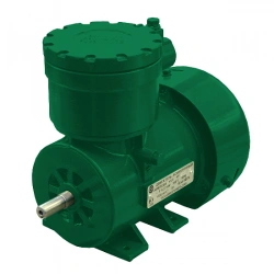 Explosion-Proof Asynchronous Electric Motors AИМЛ 71 А4