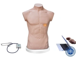 Physical Examination Training Simulator TFO-1.01MU0130