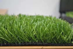 Artificial grass Optigrass MonoSport 50 MF