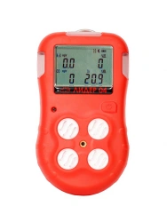 Portable Gas Analyzer for H2S, CO, O2, Hydrocarbons - Leader 04