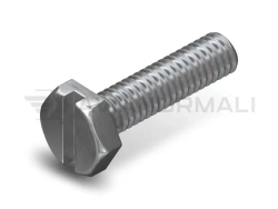 Hexagon Head Screws with Slot OST 1 31508-80