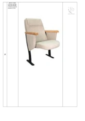 Lester Theater Chair, Size 540x520/760x900, Seat Cushion Thickness 110mm