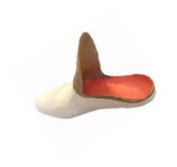 Orthopedic Footwear for Stump Amputees (Insertable Booties)