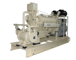 Marine Emergency Diesel Generator with Radiator Cooling System ADG 400/1500